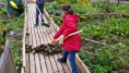 /album/atelier-jardin-pendant-les-vacances-de-toussaint-2014-les-jardiniers-en-herbes-1/a20141027-104238-jpg/